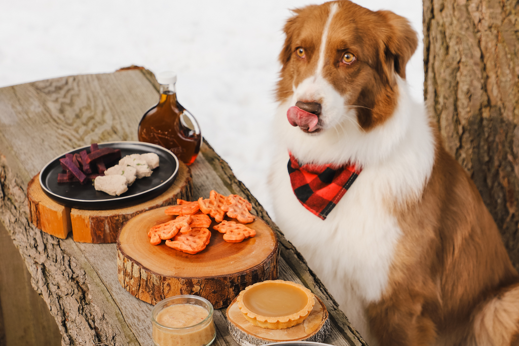 chien qui liche la langue attend de manger ses gauffres en forme animal avec sa soupe au pos et son assiette de porc et des frites