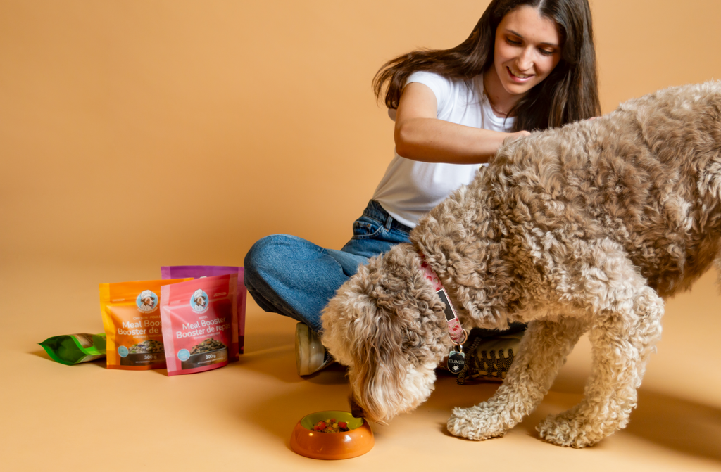 chien doodle avec fille cheveux brun qui mange dans une gamelle orange et des emballages de boosters de repas a cote